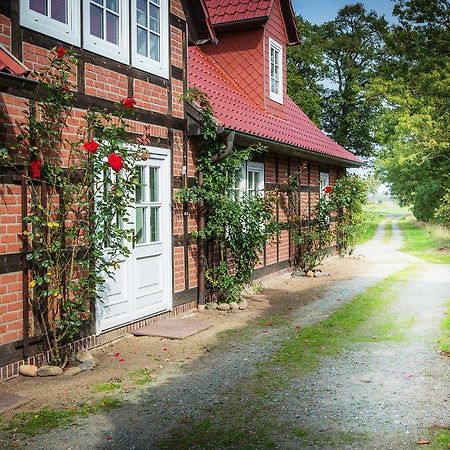 Landhaus Elbeflair Apartment Bei Doemitz Lenzerwische Екстериор снимка